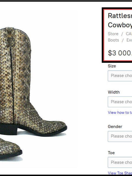 Caboots Full Genuine Rattlesnake Cowboy Boots in Men\'s 10.5D/11D main image 4